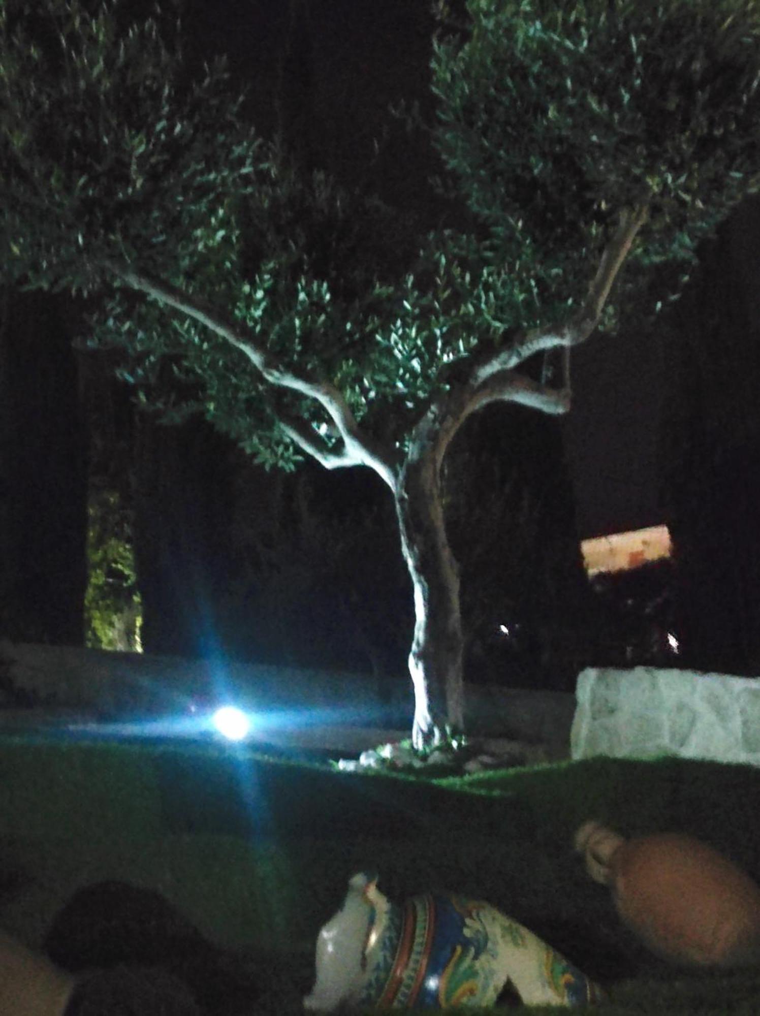 Lory Agrigento